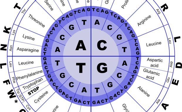 Biochemistry