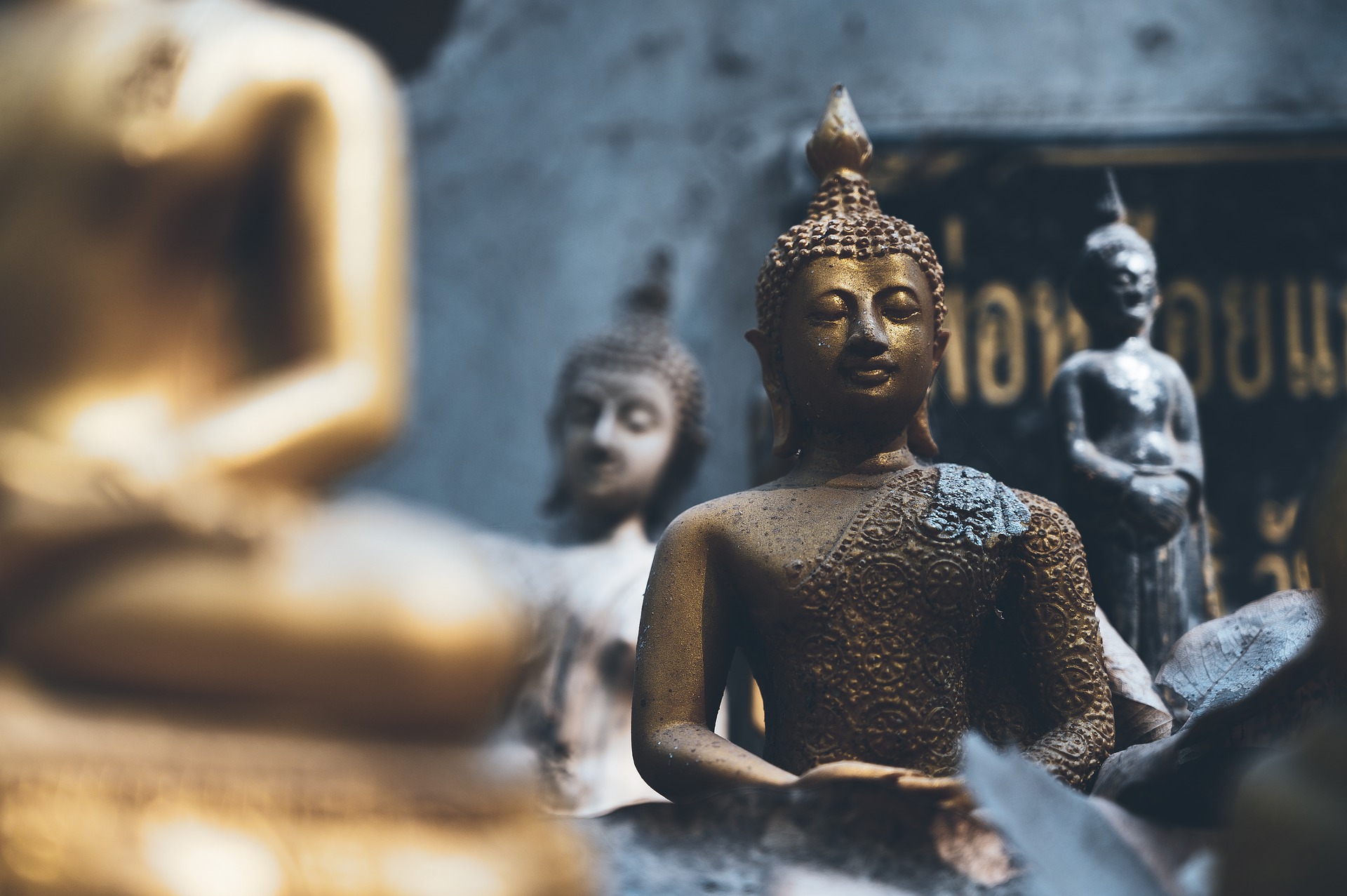 Buddhism | A Path to Personal Freedom